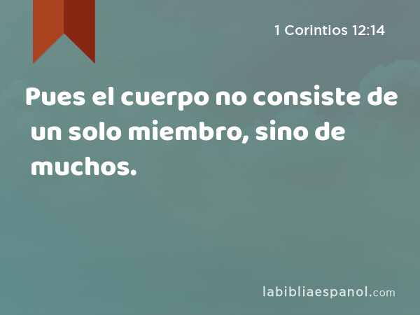 Pues el cuerpo no consiste de un solo miembro, sino de muchos. - 1 Corintios 12:14