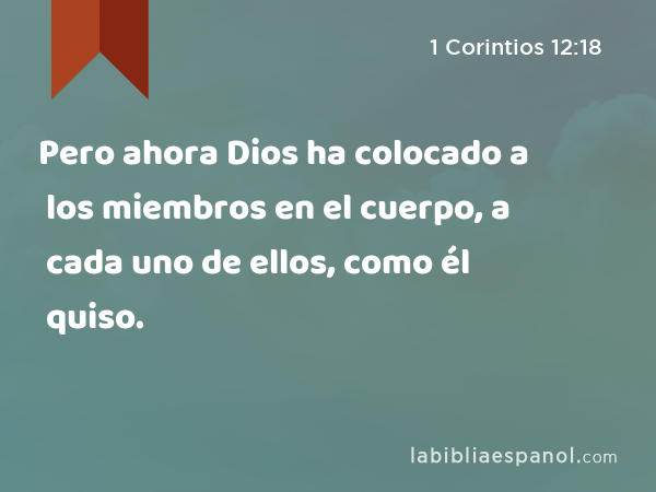 Pero ahora Dios ha colocado a los miembros en el cuerpo, a cada uno de ellos, como él quiso. - 1 Corintios 12:18