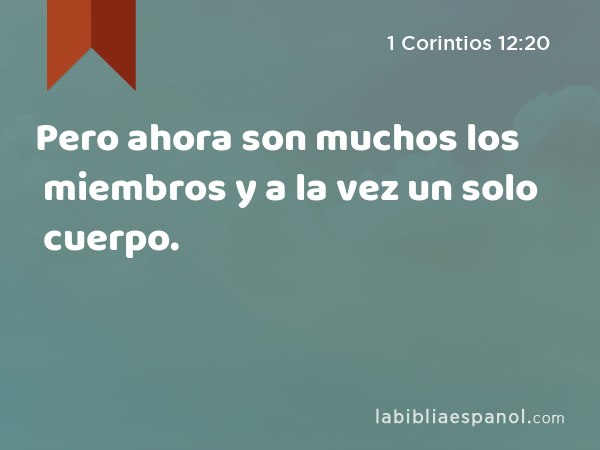 Pero ahora son muchos los miembros y a la vez un solo cuerpo. - 1 Corintios 12:20