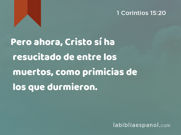 Pero ahora, Cristo sí ha resucitado de entre los muertos, como primicias de los que durmieron. - 1 Corintios 15:20