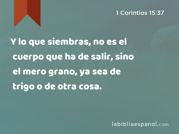 Y lo que siembras, no es el cuerpo que ha de salir, sino el mero grano, ya sea de trigo o de otra cosa. - 1 Corintios 15:37