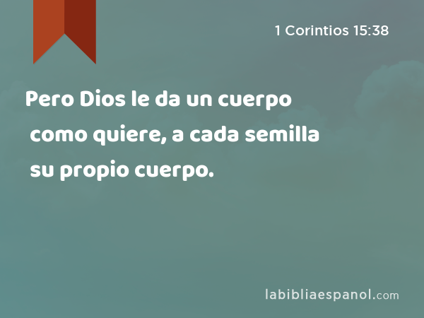 Pero Dios le da un cuerpo como quiere, a cada semilla su propio cuerpo. - 1 Corintios 15:38