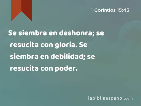 Se siembra en deshonra; se resucita con gloria. Se siembra en debilidad; se resucita con poder. - 1 Corintios 15:43