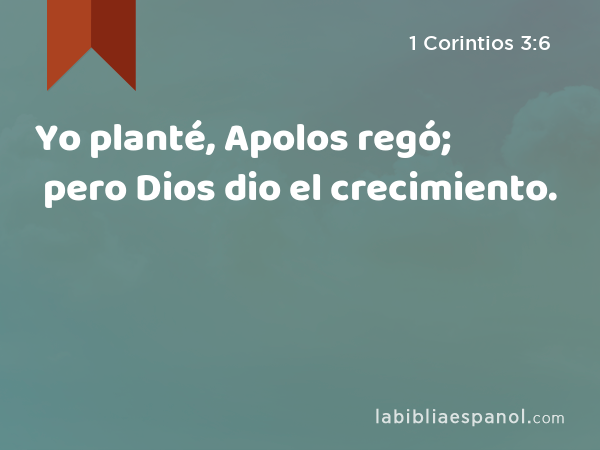 Yo planté, Apolos regó; pero Dios dio el crecimiento. - 1 Corintios 3:6