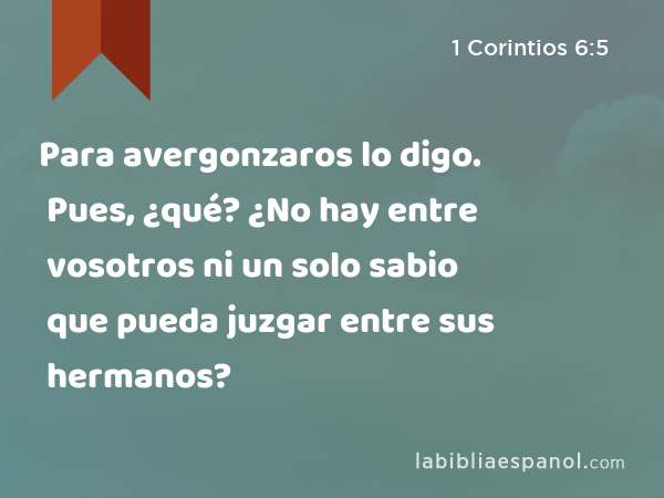 Para avergonzaros lo digo. Pues, ¿qué? ¿No hay entre vosotros ni un solo sabio que pueda juzgar entre sus hermanos? - 1 Corintios 6:5