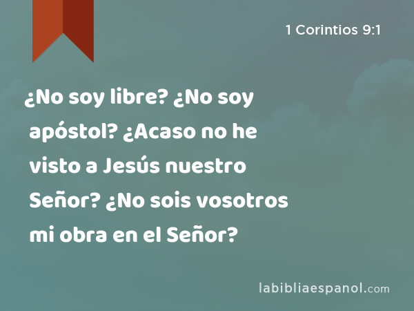 ¿No soy libre? ¿No soy apóstol? ¿Acaso no he visto a Jesús nuestro Señor? ¿No sois vosotros mi obra en el Señor? - 1 Corintios 9:1