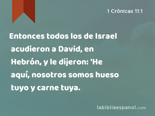 Entonces todos los de Israel acudieron a David, en Hebrón, y le dijeron: 'He aquí, nosotros somos hueso tuyo y carne tuya. - 1 Crônicas 11:1