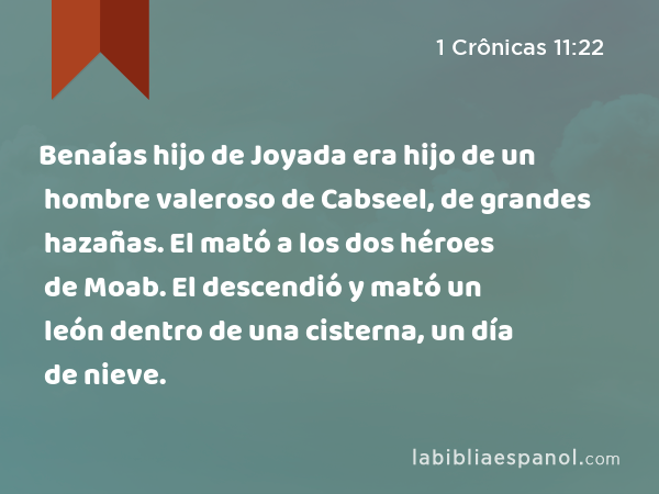 Benaías hijo de Joyada era hijo de un hombre valeroso de Cabseel, de grandes hazañas. El mató a los dos héroes de Moab. El descendió y mató un león dentro de una cisterna, un día de nieve. - 1 Crônicas 11:22