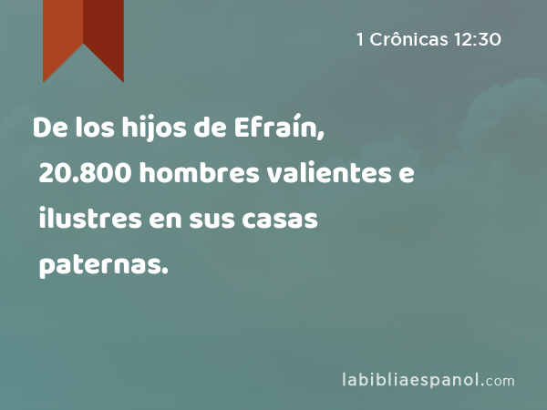 De los hijos de Efraín, 20.800 hombres valientes e ilustres en sus casas paternas. - 1 Crônicas 12:30