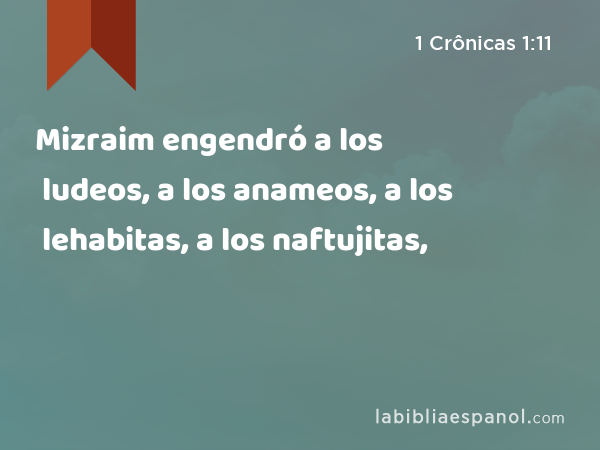 Mizraim engendró a los ludeos, a los anameos, a los lehabitas, a los naftujitas, - 1 Crônicas 1:11