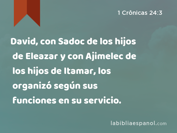 David, con Sadoc de los hijos de Eleazar y con Ajimelec de los hijos de Itamar, los organizó según sus funciones en su servicio. - 1 Crônicas 24:3