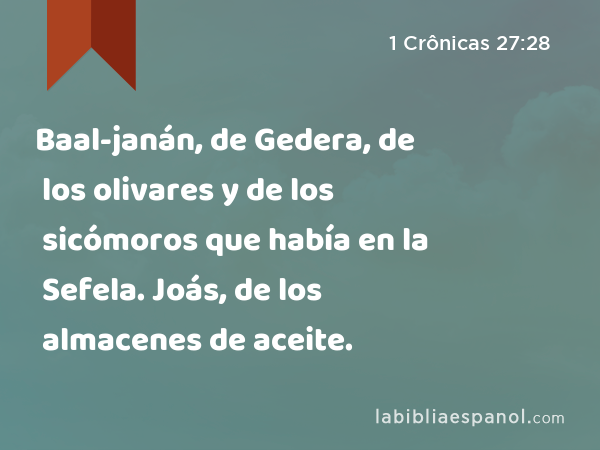 Baal-janán, de Gedera, de los olivares y de los sicómoros que había en la Sefela. Joás, de los almacenes de aceite. - 1 Crônicas 27:28