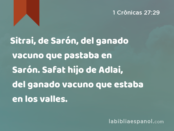 Sitrai, de Sarón, del ganado vacuno que pastaba en Sarón. Safat hijo de Adlai, del ganado vacuno que estaba en los valles. - 1 Crônicas 27:29