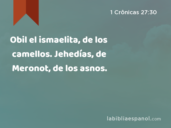 Obil el ismaelita, de los camellos. Jehedías, de Meronot, de los asnos. - 1 Crônicas 27:30