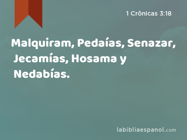 Malquiram, Pedaías, Senazar, Jecamías, Hosama y Nedabías. - 1 Crônicas 3:18