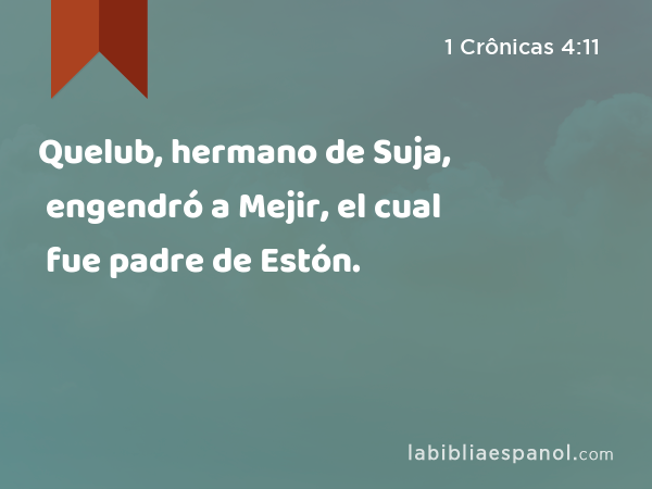 Quelub, hermano de Suja, engendró a Mejir, el cual fue padre de Estón. - 1 Crônicas 4:11