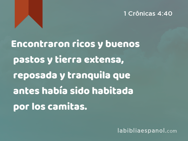 Encontraron ricos y buenos pastos y tierra extensa, reposada y tranquila que antes había sido habitada por los camitas. - 1 Crônicas 4:40