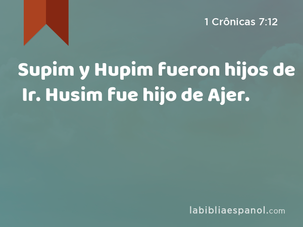 Supim y Hupim fueron hijos de Ir. Husim fue hijo de Ajer. - 1 Crônicas 7:12