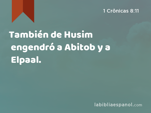 También de Husim engendró a Abitob y a Elpaal. - 1 Crônicas 8:11