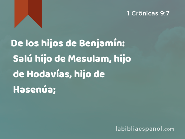 De los hijos de Benjamín: Salú hijo de Mesulam, hijo de Hodavías, hijo de Hasenúa; - 1 Crônicas 9:7