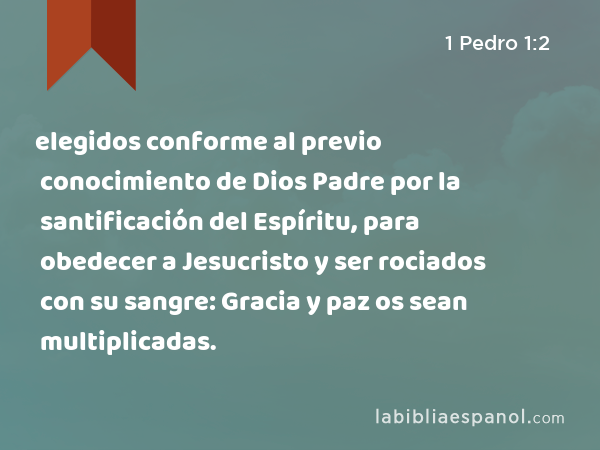 elegidos conforme al previo conocimiento de Dios Padre por la santificación del Espíritu, para obedecer a Jesucristo y ser rociados con su sangre: Gracia y paz os sean multiplicadas. - 1 Pedro 1:2