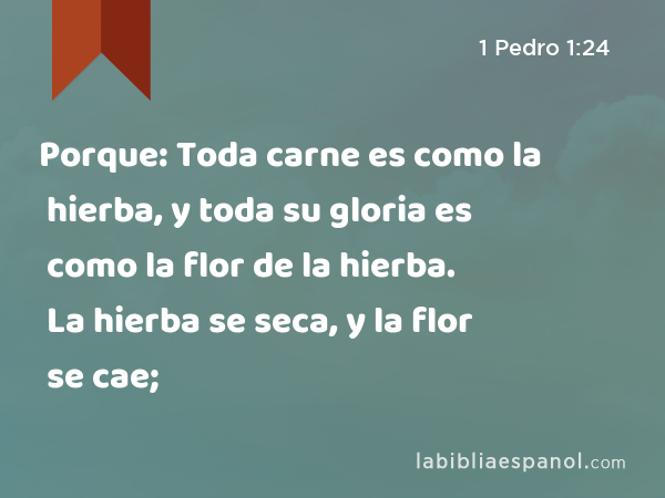 Porque: Toda carne es como la hierba, y toda su gloria es como la flor de la hierba. La hierba se seca, y la flor se cae; - 1 Pedro 1:24