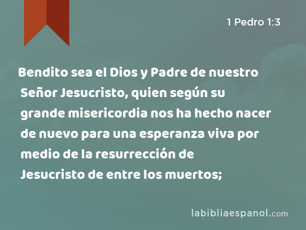 Bendito sea el Dios y Padre de nuestro Señor Jesucristo, quien según su grande misericordia nos ha hecho nacer de nuevo para una esperanza viva por medio de la resurrección de Jesucristo de entre los muertos; - 1 Pedro 1:3