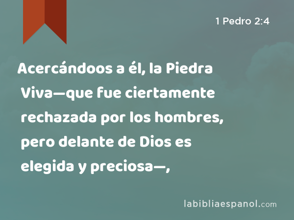 Acercándoos a él, la Piedra Viva—que fue ciertamente rechazada por los hombres, pero delante de Dios es elegida y preciosa—, - 1 Pedro 2:4