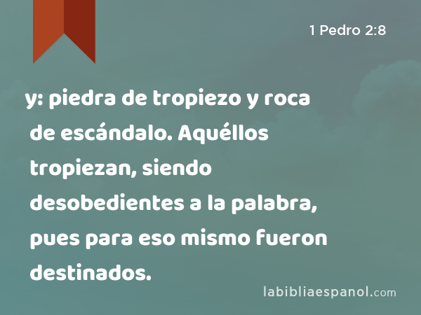 y: piedra de tropiezo y roca de escándalo. Aquéllos tropiezan, siendo desobedientes a la palabra, pues para eso mismo fueron destinados. - 1 Pedro 2:8