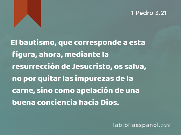 El bautismo, que corresponde a esta figura, ahora, mediante la resurrección de Jesucristo, os salva, no por quitar las impurezas de la carne, sino como apelación de una buena conciencia hacia Dios. - 1 Pedro 3:21