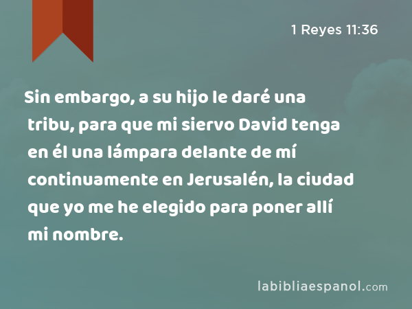 Sin embargo, a su hijo le daré una tribu, para que mi siervo David tenga en él una lámpara delante de mí continuamente en Jerusalén, la ciudad que yo me he elegido para poner allí mi nombre. - 1 Reyes 11:36