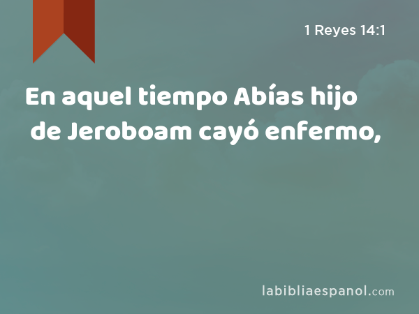 En aquel tiempo Abías hijo de Jeroboam cayó enfermo, - 1 Reyes 14:1