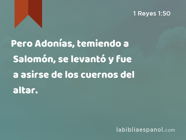 Pero Adonías, temiendo a Salomón, se levantó y fue a asirse de los cuernos del altar. - 1 Reyes 1:50