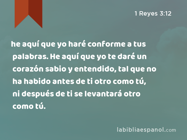 he aquí que yo haré conforme a tus palabras. He aquí que yo te daré un corazón sabio y entendido, tal que no ha habido antes de ti otro como tú, ni después de ti se levantará otro como tú. - 1 Reyes 3:12