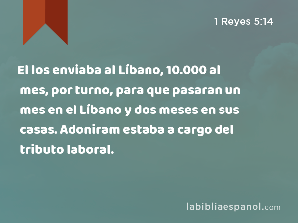 El los enviaba al Líbano, 10.000 al mes, por turno, para que pasaran un mes en el Líbano y dos meses en sus casas. Adoniram estaba a cargo del tributo laboral. - 1 Reyes 5:14