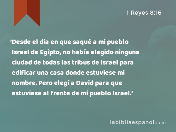 ‘Desde el día en que saqué a mi pueblo Israel de Egipto, no había elegido ninguna ciudad de todas las tribus de Israel para edificar una casa donde estuviese mi nombre. Pero elegí a David para que estuviese al frente de mi pueblo Israel.’ - 1 Reyes 8:16