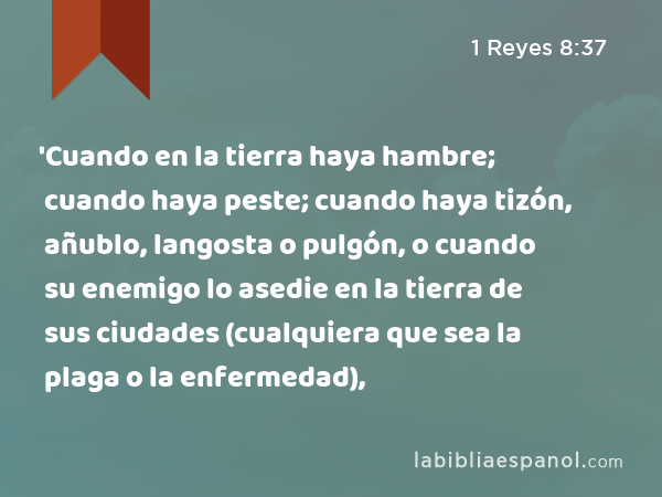 'Cuando en la tierra haya hambre; cuando haya peste; cuando haya tizón, añublo, langosta o pulgón, o cuando su enemigo lo asedie en la tierra de sus ciudades (cualquiera que sea la plaga o la enfermedad), - 1 Reyes 8:37