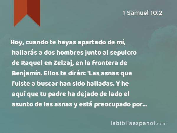 Hoy, cuando te hayas apartado de mí, hallarás a dos hombres junto al sepulcro de Raquel en Zelzaj, en la frontera de Benjamín. Ellos te dirán: 'Las asnas que fuiste a buscar han sido halladas. Y he aquí que tu padre ha dejado de lado el asunto de las asnas y está preocupado por vosotros, diciendo: ‘¿Qué haré acerca de mi hijo?’' - 1 Samuel 10:2