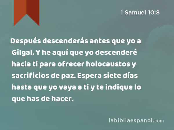 Después descenderás antes que yo a Gilgal. Y he aquí que yo descenderé hacia ti para ofrecer holocaustos y sacrificios de paz. Espera siete días hasta que yo vaya a ti y te indique lo que has de hacer. - 1 Samuel 10:8