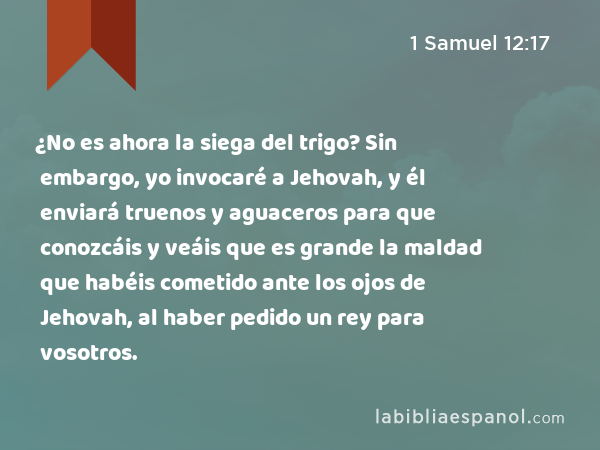 ¿No es ahora la siega del trigo? Sin embargo, yo invocaré a Jehovah, y él enviará truenos y aguaceros para que conozcáis y veáis que es grande la maldad que habéis cometido ante los ojos de Jehovah, al haber pedido un rey para vosotros. - 1 Samuel 12:17