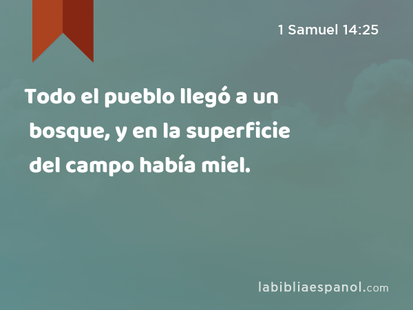 Todo el pueblo llegó a un bosque, y en la superficie del campo había miel. - 1 Samuel 14:25