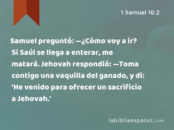 Samuel preguntó: —¿Cómo voy a ir? Si Saúl se llega a enterar, me matará. Jehovah respondió: —Toma contigo una vaquilla del ganado, y di: 'He venido para ofrecer un sacrificio a Jehovah.' - 1 Samuel 16:2