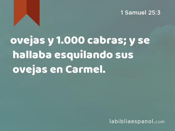 ovejas y 1.000 cabras; y se hallaba esquilando sus ovejas en Carmel. - 1 Samuel 25:3