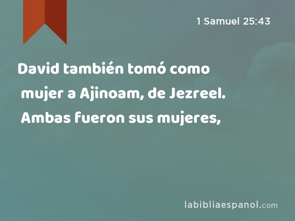 David también tomó como mujer a Ajinoam, de Jezreel. Ambas fueron sus mujeres, - 1 Samuel 25:43