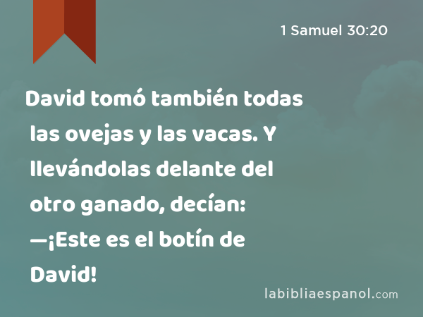 David tomó también todas las ovejas y las vacas. Y llevándolas delante del otro ganado, decían: —¡Este es el botín de David! - 1 Samuel 30:20