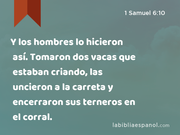 Y los hombres lo hicieron así. Tomaron dos vacas que estaban criando, las uncieron a la carreta y encerraron sus terneros en el corral. - 1 Samuel 6:10