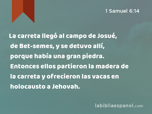 La carreta llegó al campo de Josué, de Bet-semes, y se detuvo allí, porque había una gran piedra. Entonces ellos partieron la madera de la carreta y ofrecieron las vacas en holocausto a Jehovah. - 1 Samuel 6:14