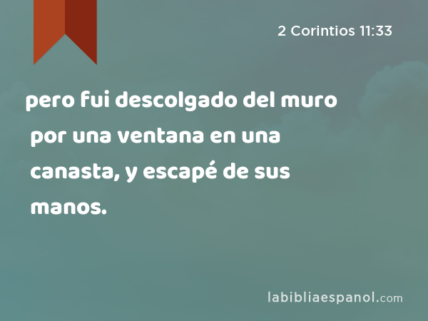 pero fui descolgado del muro por una ventana en una canasta, y escapé de sus manos. - 2 Corintios 11:33