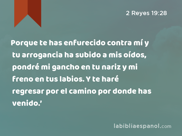 Porque te has enfurecido contra mí y tu arrogancia ha subido a mis oídos, pondré mi gancho en tu nariz y mi freno en tus labios. Y te haré regresar por el camino por donde has venido.’ - 2 Reyes 19:28