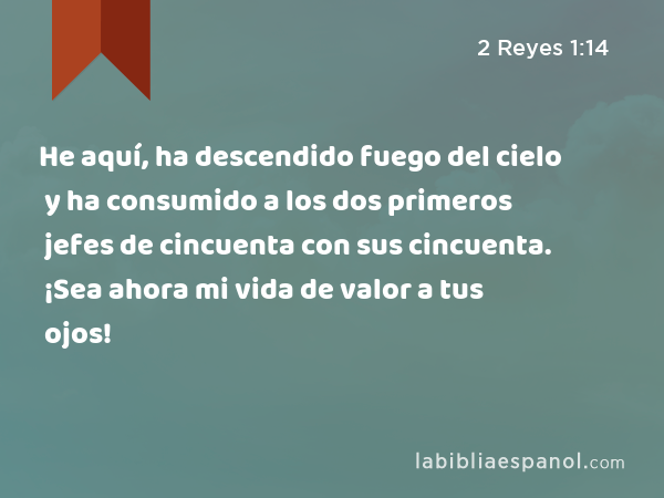 He aquí, ha descendido fuego del cielo y ha consumido a los dos primeros jefes de cincuenta con sus cincuenta. ¡Sea ahora mi vida de valor a tus ojos! - 2 Reyes 1:14